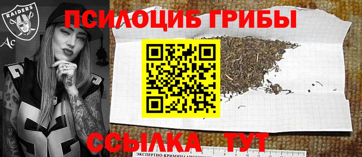 Рязань  Псилоцибиновые грибы MAGIC MUSHROOMS  Вход с VPN 