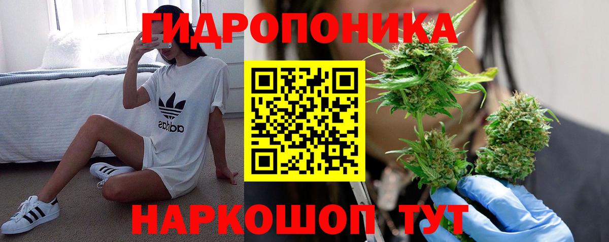 Бошки марихуана Ganja  Марихуана ГИДРОПОН  Рязань  Каннабис White Widow  Вход с VPN 